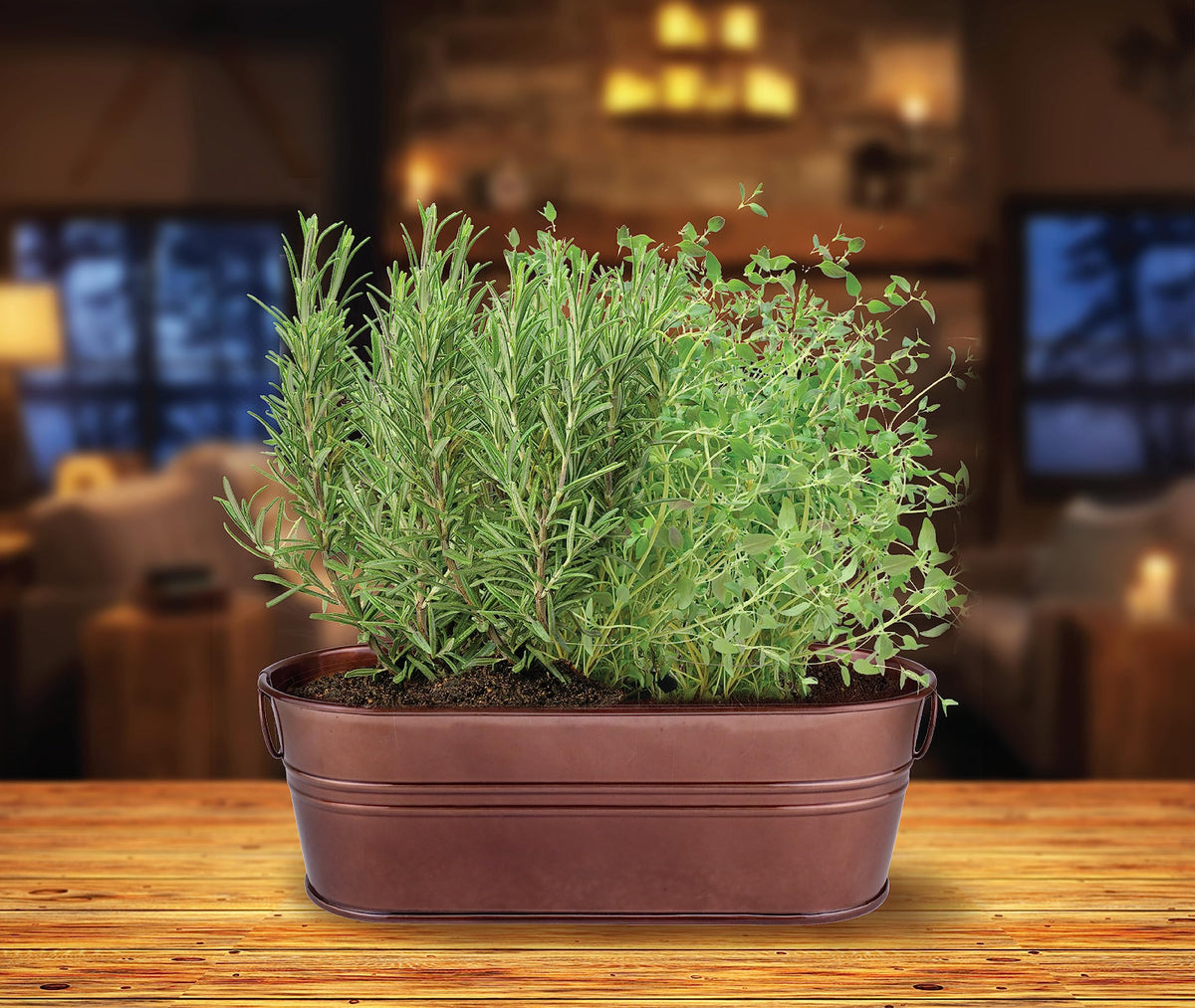 BUZZY Seeds Indoor Herb Garden Kit | Grow Rosemary and Thyme with Non-GMO Seeds | DIY Windowsill Planter Starter Set for Kitchen Countertop, Indoor Gardening, Holiday Gift, Home Decor