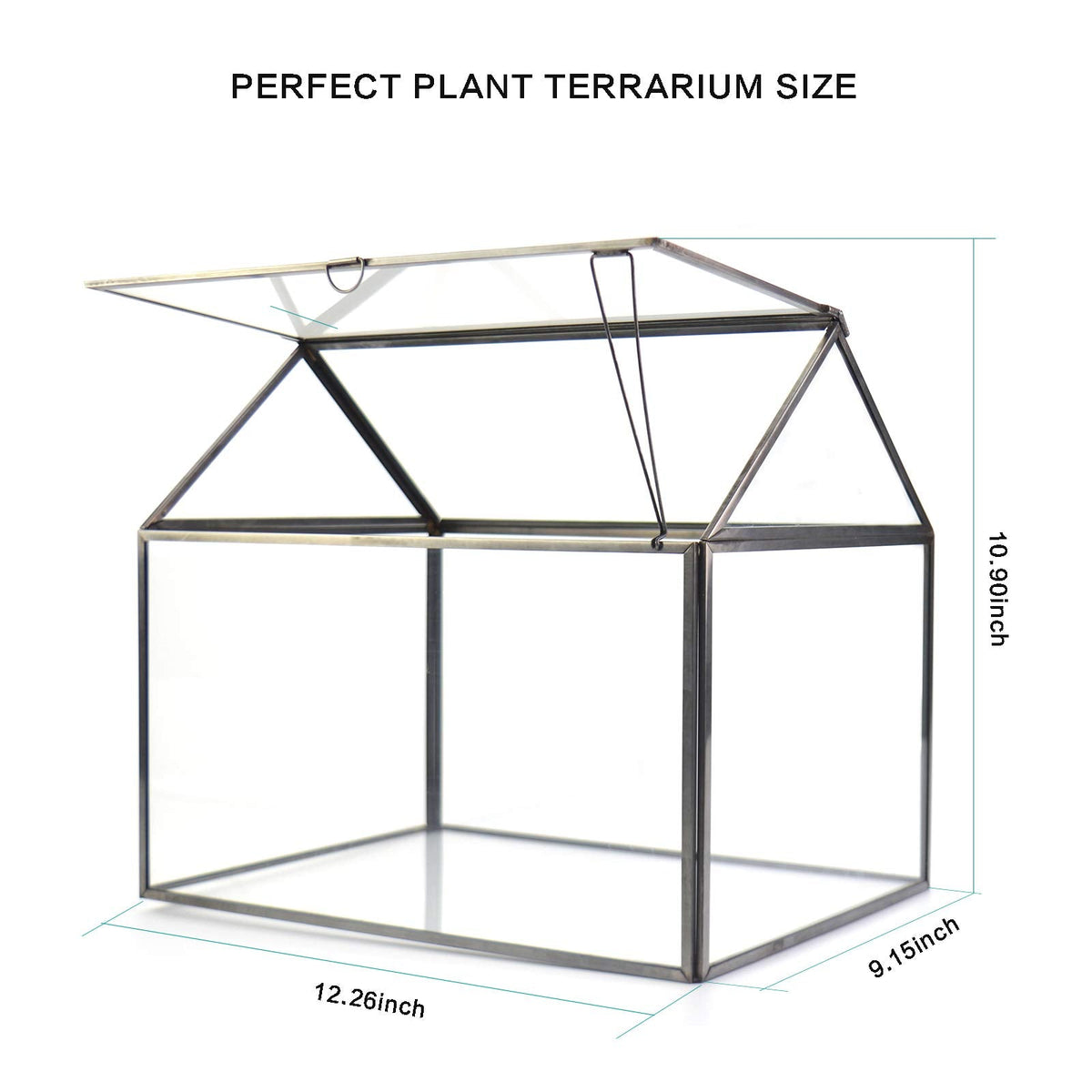 Large Glass Plant Terrarium – House Succulent Glass Terrarium Kit with Lip Glass Greenhouse Terrarium for Plant 12.26X9.15X10.9inch (Black 2)