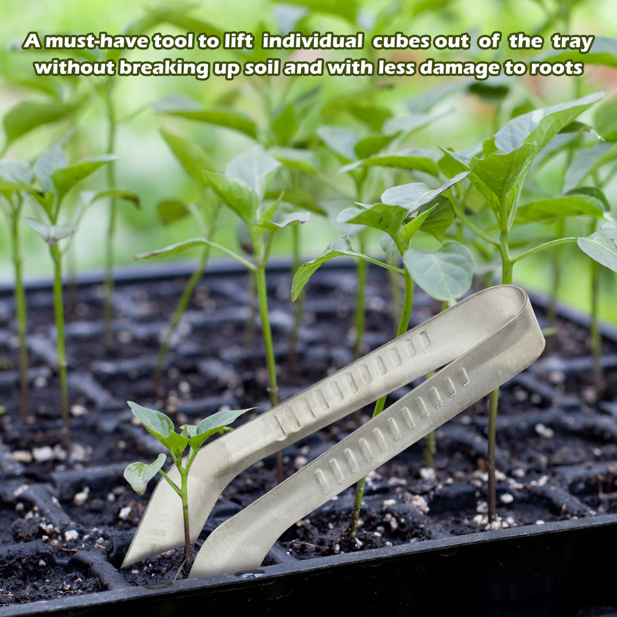 3PCS Seedling Transplant Tongs Stainless Steel Seedling Starters Remove Tongs Seedling Transplanting Tool Seedling Easy Transplanter with Anti-Slip Grasp Tips to Reduce Damage to Roots