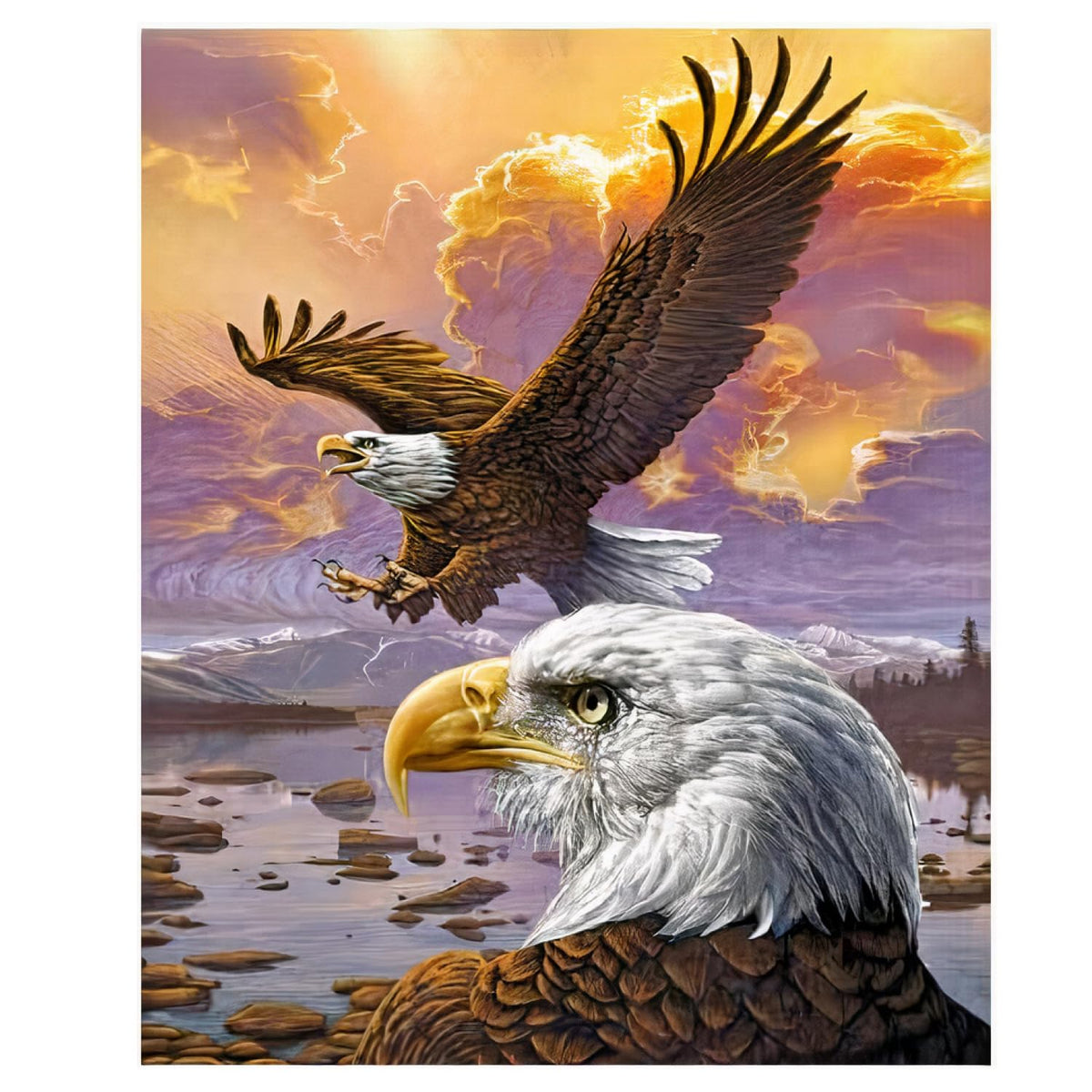 Dawhud Direct Eagle Fleece Throw Blanket, 50" x 60", Flying Eagle Print, Super Soft Plush, Unisex, Iii Eagle Clouds Color