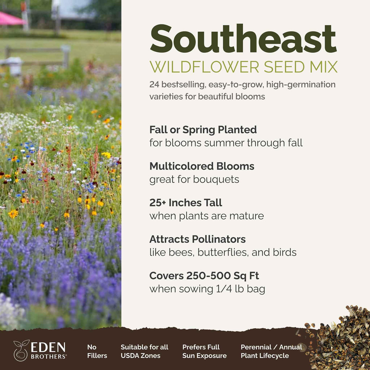 Eden Brothers Southeast Wildflower Mixed Seeds for Planting, 1/4 lb, 120,000+ Seeds with Cornflower, Blanket Flower | Attracts Pollinators, Plant in Spring or Fall, Zones 3, 4, 5, 6, 7, 8, 9, 10