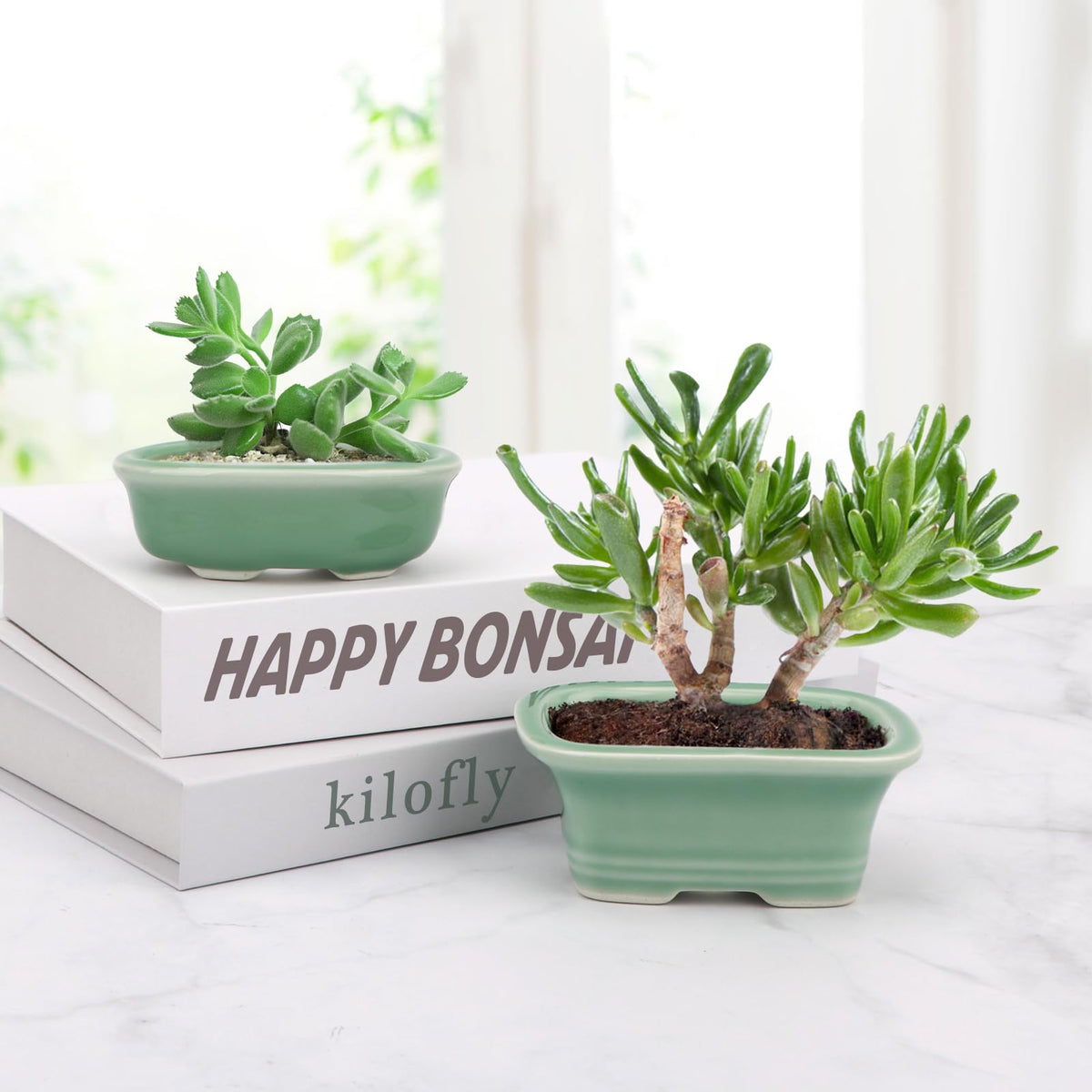 Bonsai Planter Succulent 3.7-3.9" (9-10cm) Mini Green Pots Value Set of 2