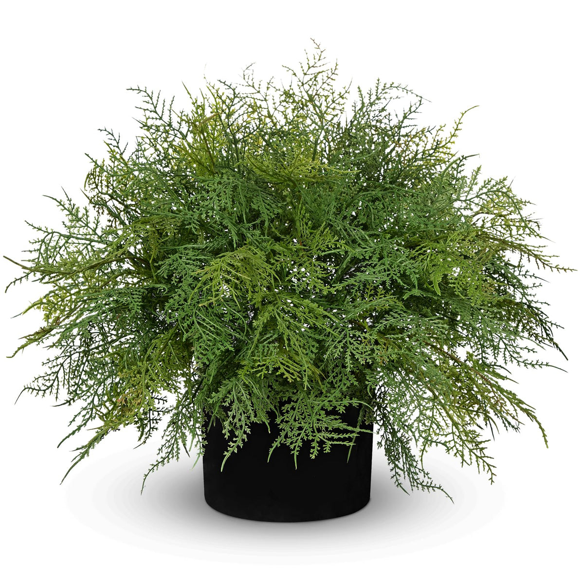 Hollyone 16.9" Artificial Cedar Fern Faux Cedar in Pot Fake Ferns for Outdoors Indoor Large Ferns Faux Potted Plants Greenery Bush for Door Patio Garden Farmhouse Windowsill Office Room Home Decor