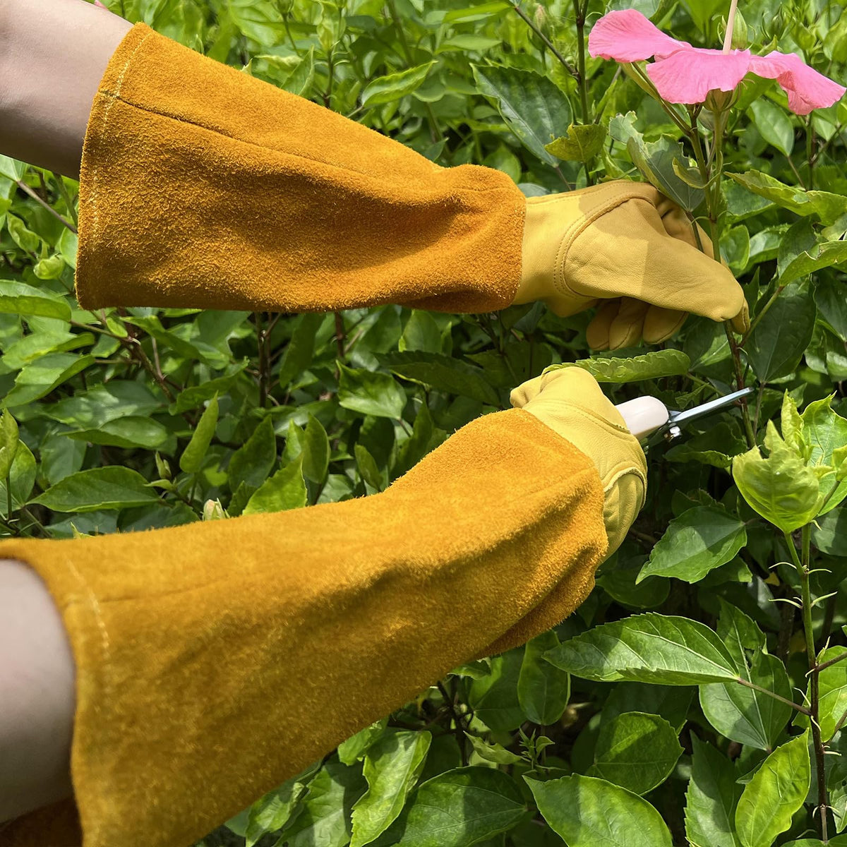 luvaswel Thorn Proof Gardening Gloves, 100% Cowhide Comfortable Breathable for Rose Pruning, Cactus Handling and Gardening