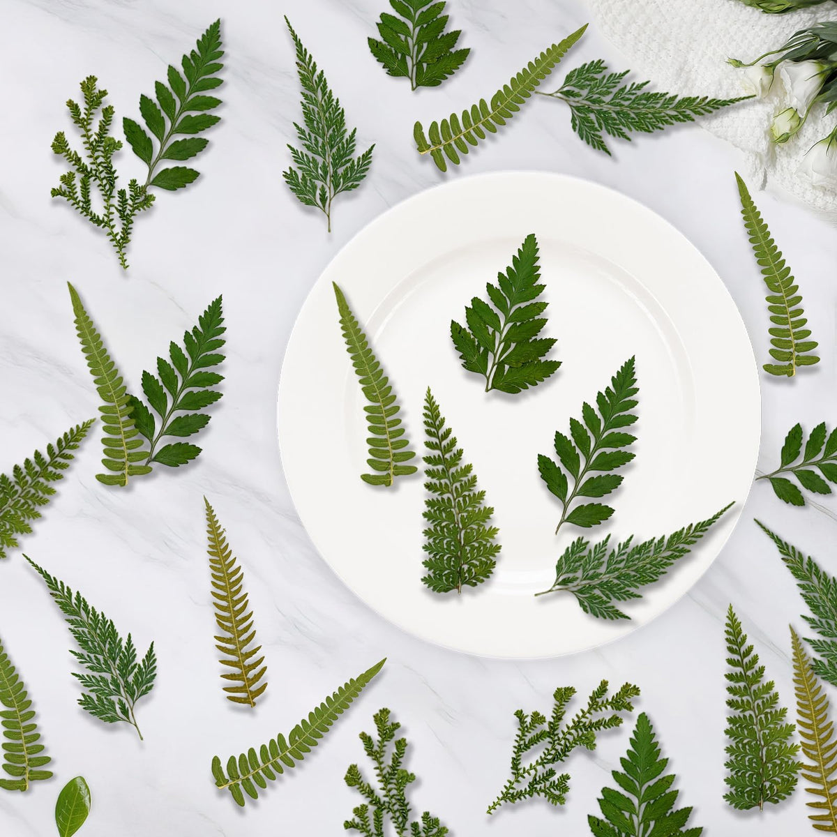80 Pcs Green Ferns Dried Pressed Flowers Bulk for Crafts, Natural Leaves Greenery for Resin Art, Candle Making, DIY Decoration, Floral Supplies