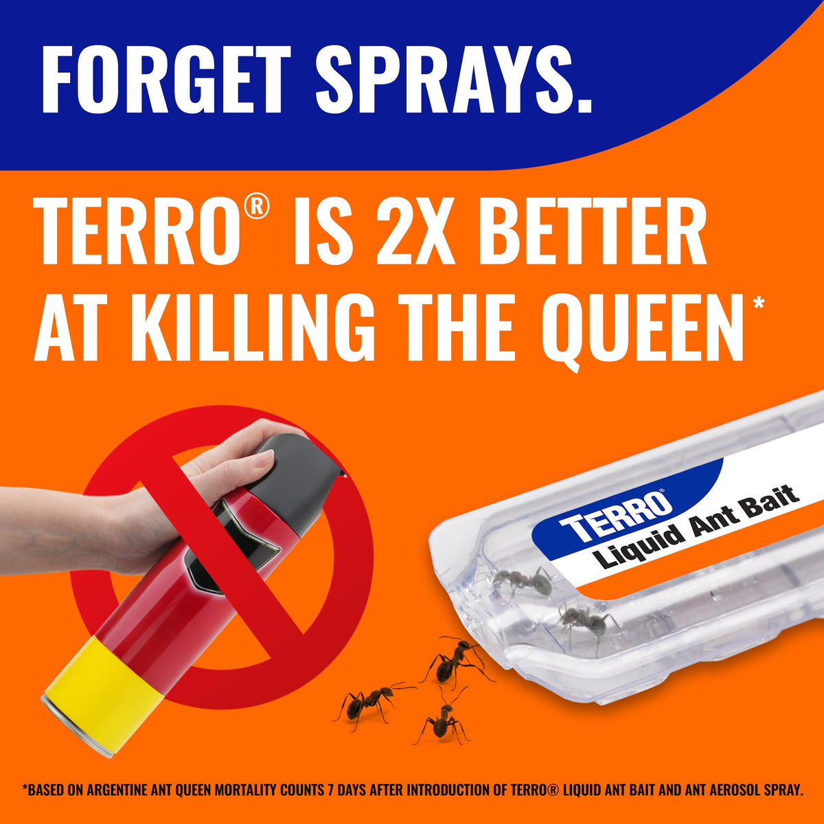 TERRO Ant Killer Bait Stations T300B - Liquid Bait to Eliminate Ants - Bait System - 12 Count Stations for Effective Indoor Ant Control