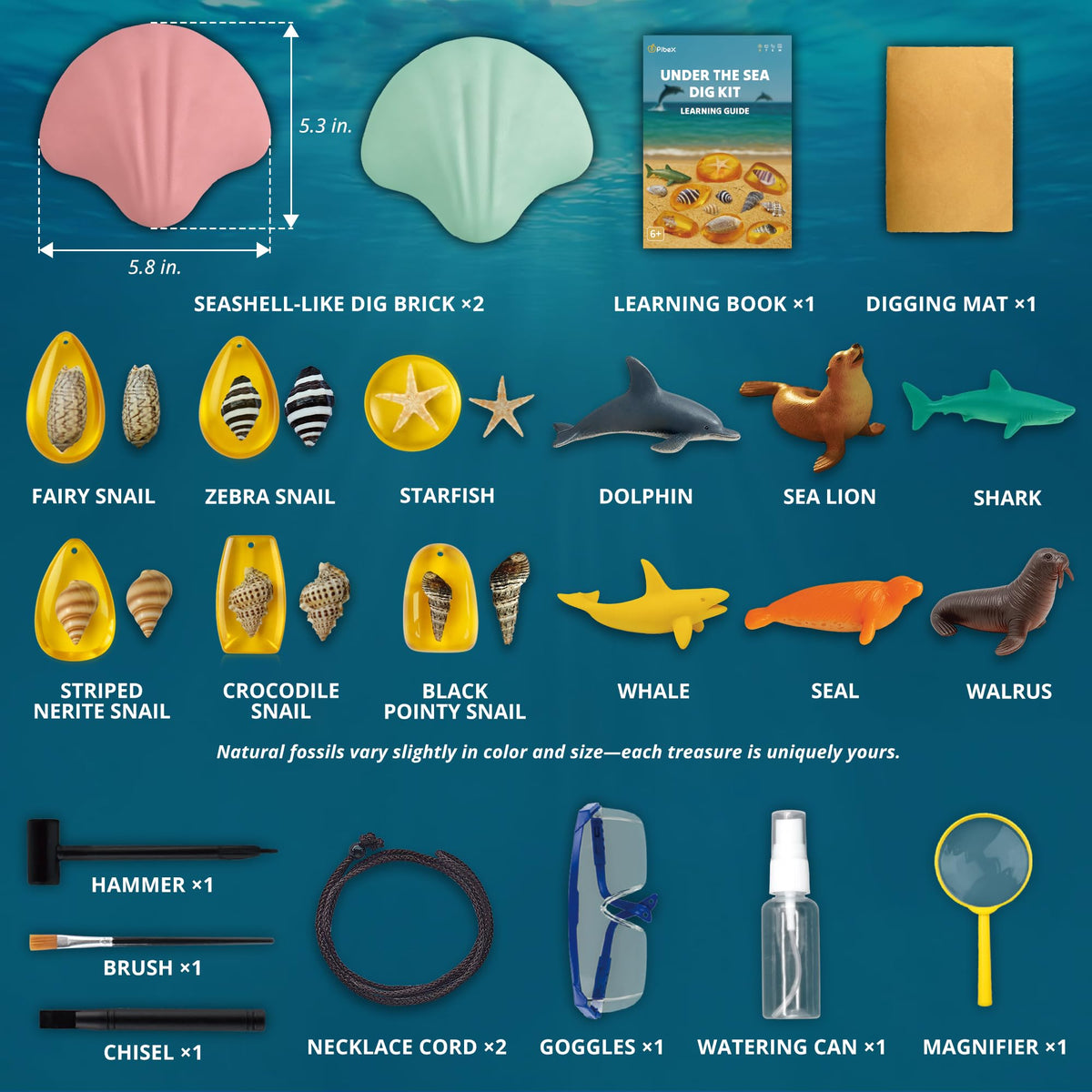 PIBEX Under-The-Sea Dig Kit – Dig & Discover 18 Real Shell Fossils, Amber Jewelry & Sea Animal Creatures – Ocean Necklace Making & STEM Excavation Activity Toy for Kids Ages 6+