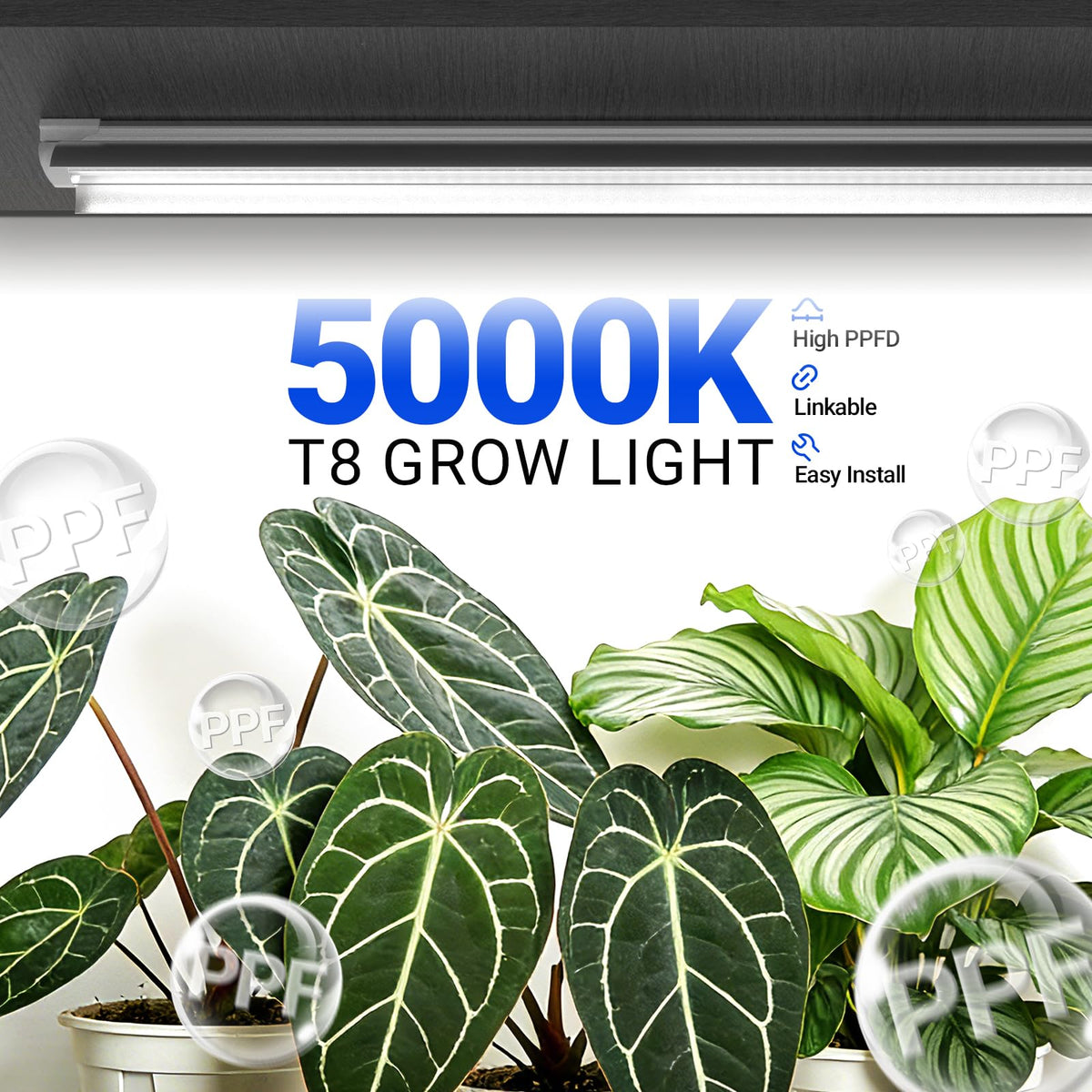 Barrina Plant Grow Lights, 4FT 5000K Full Spectrum Daylight White, 252W(6 x 42W, 1400W Equivalent), T8 LED Grow Light Strips, Growing Lamp Fixture, Plant Lights for Indoor Plants, Greenhouse, 6-Pack