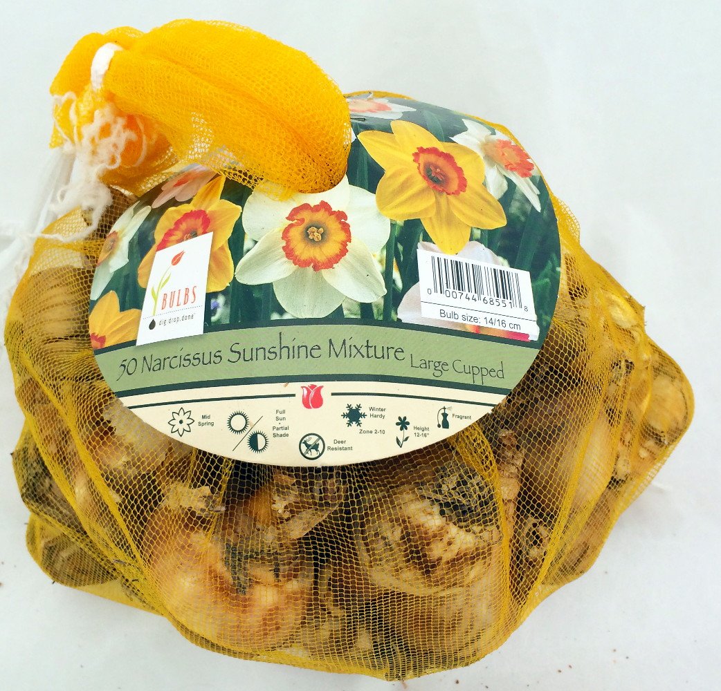 Sunshine Narcissus Mix 50 Bulbs- 14/16 cm Bulbs - Value Bag