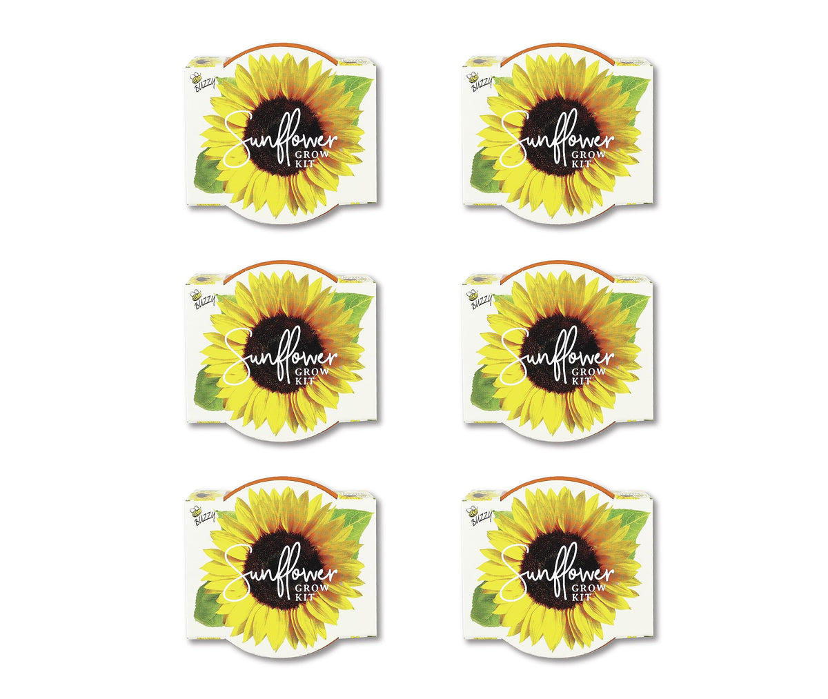 BUZZY Seeds Sunflower Daydream Collection 6-Pack Mini Terracotta Grow Pots, Includes Seed Packets and Growing Medium, Flower Starter Kit, Indoor Gardening Gift, Wedding Favors