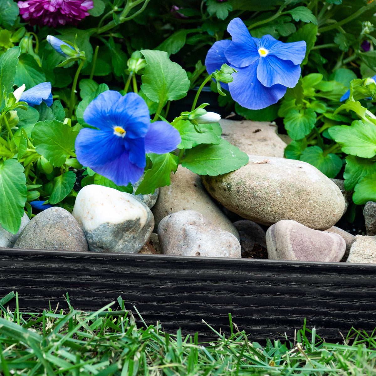 EasyFlex 2.5" Tall Wall No-Dig Landscape Edging Kit - 100 Foot, Black
