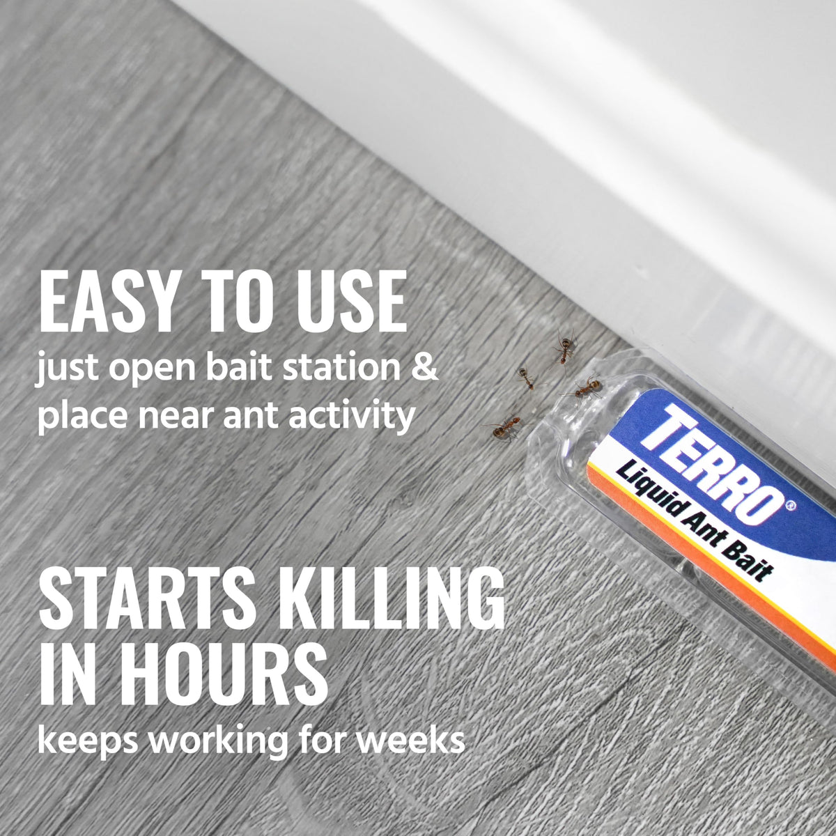 TERRO Ant Killer Bait Stations T300B - Liquid Bait to Eliminate Ants - Bait System - 12 Count Stations for Effective Indoor Ant Control